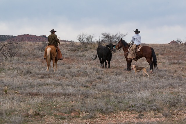 horseback riding